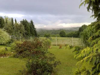 Ausblick