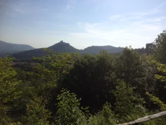 Ausblick auf Trifels