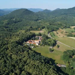 Eine malerische Landschaft mit sanften Hügeln und üppigen Wäldern. Im Mittelpunkt ist ein historisches Gebäude, umgeben von grünen Feldern.