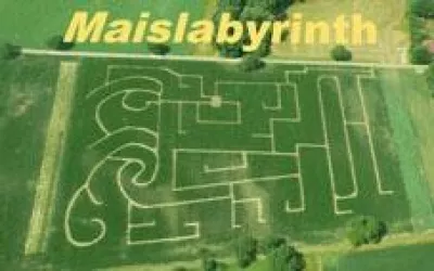 Maislabyrinth Leimersheim (© Südpfalz - Tourismus VG Rülzheim e.V.)