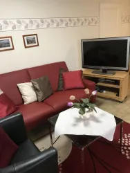 Ein gemütliches Wohnzimmer mit einem roten Sofa und einem Fernseher. Ein Tisch mit einer Blumenvase und dekorativen Kissen sorgt für eine einladende Atmosphäre.