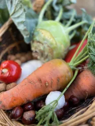 Ein Korb voller frischem Gemüse, darunter Karotten, Tomaten und Kohlrüben. Der Korb enthält auch Nüsse und andere gesunde Zutaten.