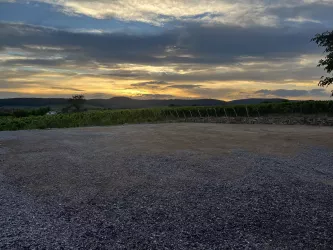 Stellplatz Weingut Mühlhäuser_2 (© Weingut Mühlhäuser)
