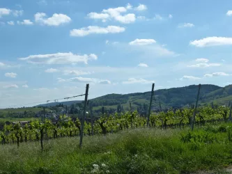 P1050068