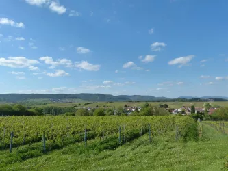 P1050073