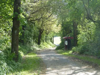 P1050043