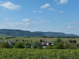 P1050076
