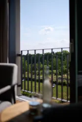 Ein Blick von einem Französischen Balkon auf eine grüne Wiese und Bäume im Hintergrund. Der Himmel ist klar und blau.