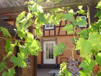 Gasthaus Zum Salztrippler