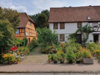 Fensterausblick Blumenpracht