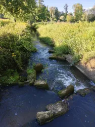 Fischtreppe Erlenbach