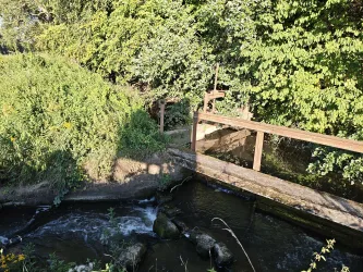 Fischtreppe Erlenbach