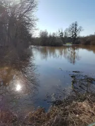Wasser im Rheinpark (© Michael Walter)