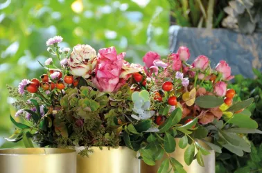 Iris Diehl Blumen (© Iris Diehl)