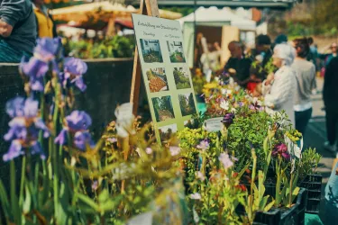Ein farbenfroher Markt mit vielen Blumen und Pflanzen. Menschen schlendern zwischen Ständen und genießen die Atmosphäre.