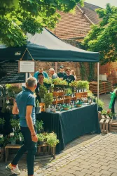 Ein Marktstand mit frischen Kräutern und Pflanzen unter einem großen Sonnenschirm. Menschen stehen in der Nähe und genießen die Atmosphäre.