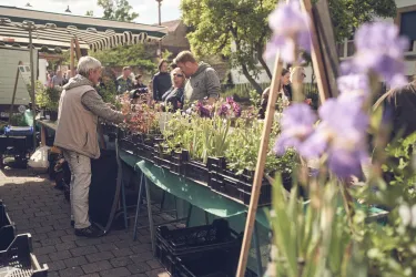 Ein Blumenmarkt mit mehreren Ständen, die mit Pflanzen und Blumen gefüllt sind. Menschen schauen sich die Angebote an und unterhalten sich.