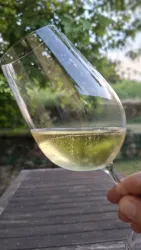 Ein Glas Weißwein wird gehalten. Im Hintergrund sind grüne Bäume und eine entspannte Atmosphäre sichtbar.