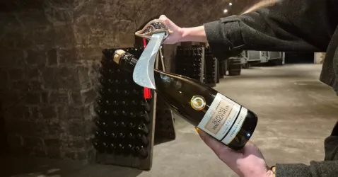 mc2 (© Tourist Info Wachenheim)