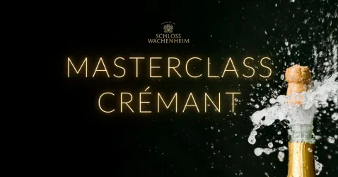 mc1 (© Tourist Info Wachenheim)