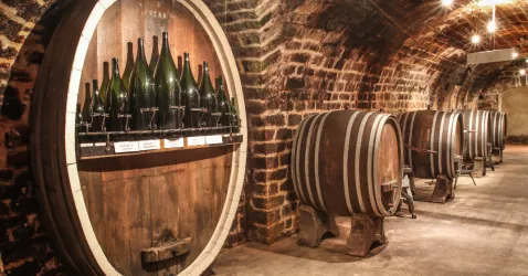 mc4 (© Tourist Info Wachenheim)