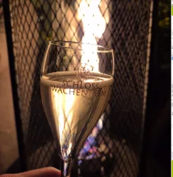 Ein Gläschen Sekt mit dem Aufdruck „Schloss Wachenheim“ vor einem warmen Feuer. Die Szene strahlt Gemütlichkeit und Feierlichkeit aus.