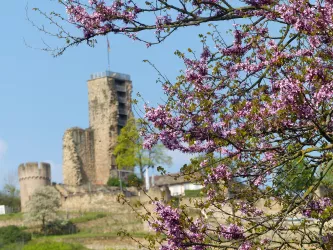 Wachtenburg im Frühling