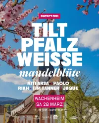 Ein Plakat für eine Veranstaltung mit dem Titel "Tilt Pfalz Weisse Mandelblüte". Es zeigt eine blühende Kirschbaumlandschaft und eine Kirche im Hintergrund.