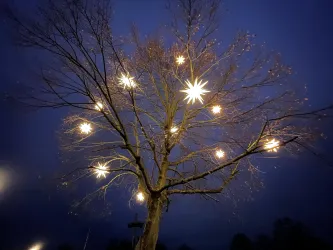 Ein großer Baum mit leuchtenden, sternförmigen Lichtern. Die Atmosphäre ist abends und die Lichter strahlen hell in der Dunkelheit.