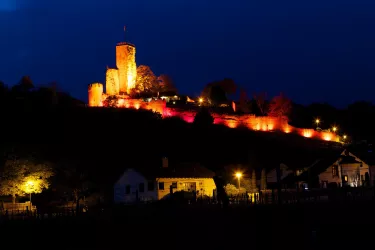 Burg zur Mandelblüte (© TI Wachenheim)
