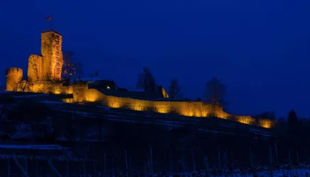 Burgansicht Winter (© TI Wachenheim)