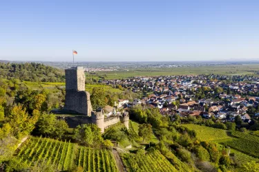 Burgturm (© TI Wachenheim)