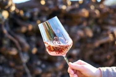 Weinprobe2