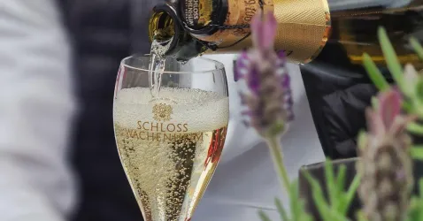 FF2 (© Tourist Info Wachenheim)