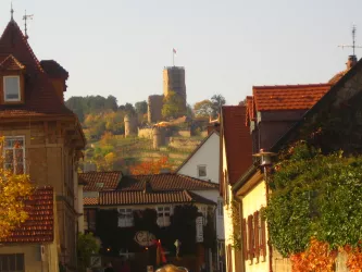 Burgblick (© Tourist Information Wachenheim)