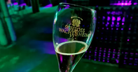 vl3 (© Tourist Info Wachenheim)