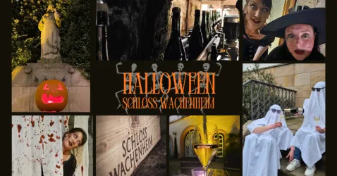Eine Halloween-Dekoration mit einer gruseligen Atmosphäre, die Kürbisse, Verkleidungen und schaurige Elemente zeigt. Im Hintergrund ist das Schloss Wachenheim zu sehen.