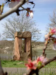 Weinstraßenfenster Mandelblüte (© Tourist Information Wachenheim)