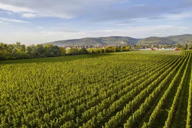 Luftbild Zug (© Stobbe)