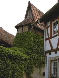 Spitzes Haus Mühlgasse (© Tourist Information Wachenheim)