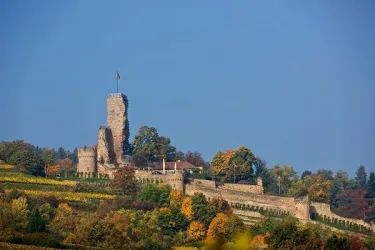 Eine alte Burg auf einem Hügel umgeben von bunten Bäumen im Herbst. Der Himmel ist klar und blau.