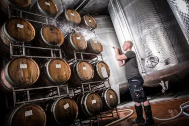 Foto 1 (© TI Wachenheim)