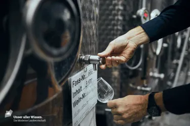 4 WW (© Tourist Info Wachenheim)