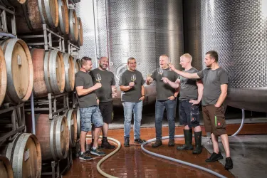 WW Foto 2 (© TI Wachenheim)