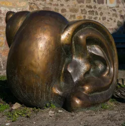 Ohrmuschel (© Fleckser)