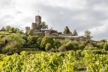 Eine alte Burg auf einem Hügel, umgeben von Weinreben. Der Himmel ist bewölkt und die Umgebung ist grün und lebendig.