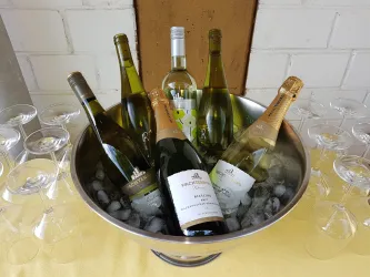 Eine große Schüssel mit Eis und mehreren Flaschen Wein steht auf einem Tisch. Um sie herum sind Gläser für den Wein angeordnet.