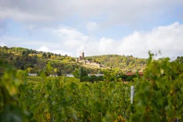 Weingut Peter Wachenheim