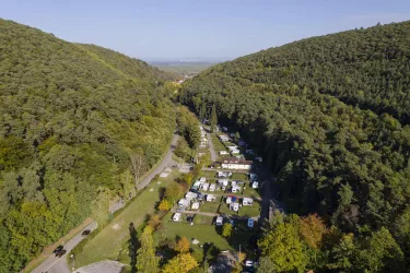 Burgtal Wachenheim (© Stobbe)