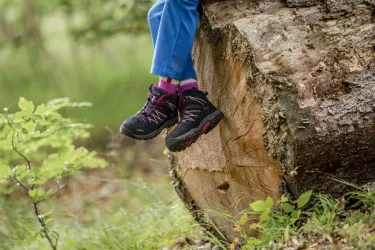 Wandern